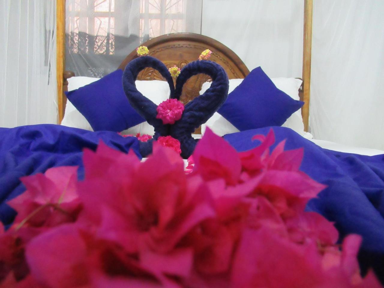 Timasha Home Stay Tangalle Εξωτερικό φωτογραφία